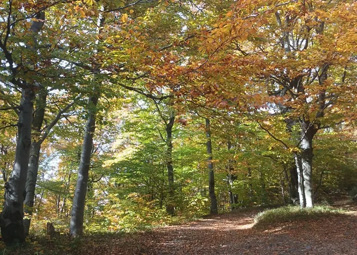 Z Widokiem Na Gory بيت للعطل Targoszow